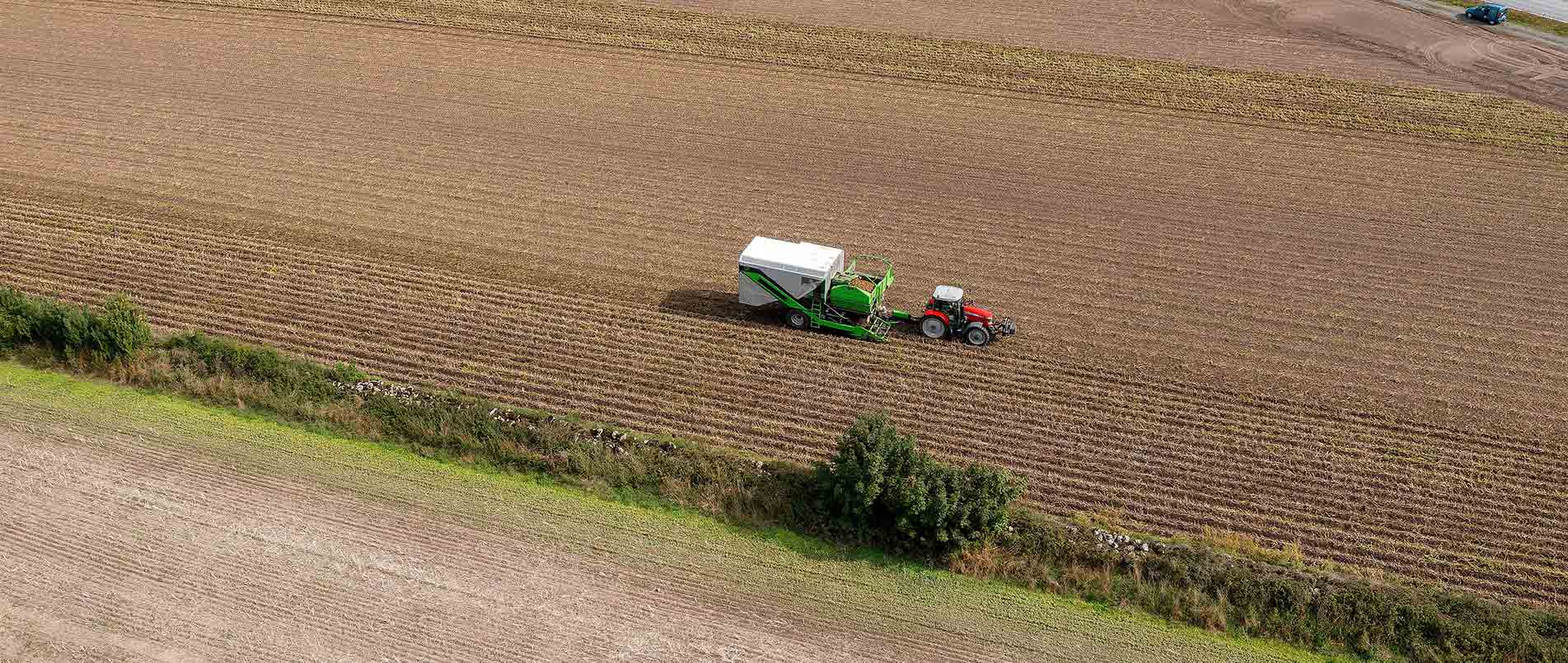 “探、收、烘、运”，看hjc黄金城官网如何四管齐下一站式保障秋收果实
